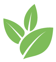 Strive Blueberry Bush Trimming